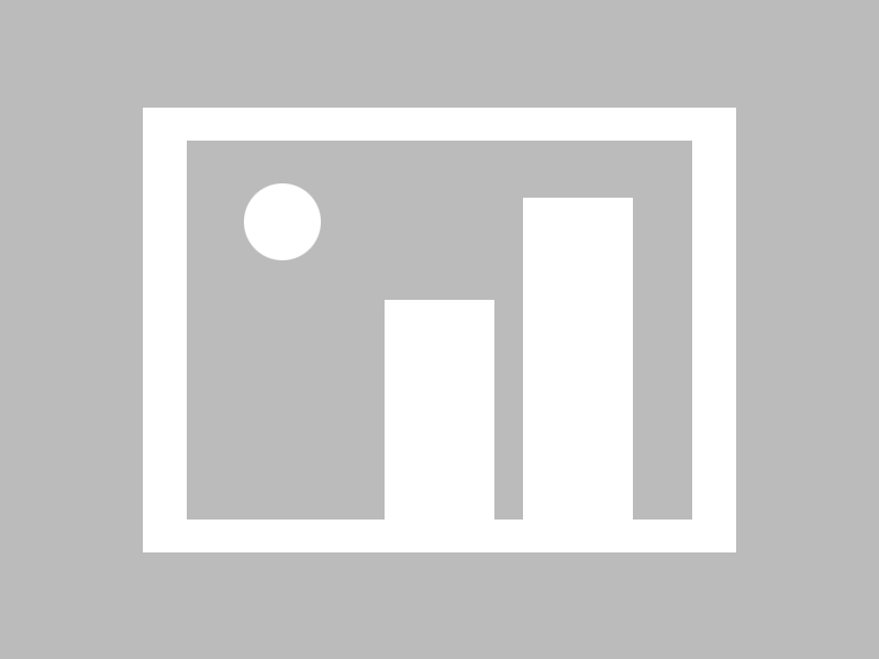 探究狗晚上一直叫的原因